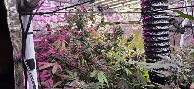 20251202_201230.jpg 20251202_201230.jpg