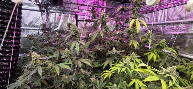 20251125_045946.jpg 20251125_045946.jpg