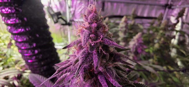 20251129_195628.jpg 20251129_195628.jpg