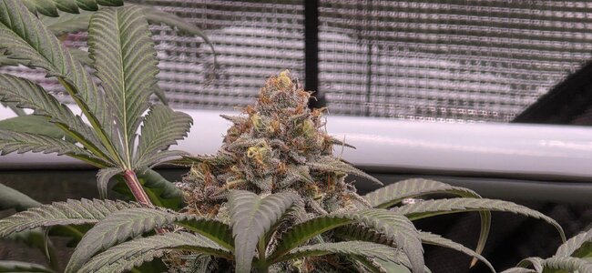 20251129_203113.jpg 20251129_203113.jpg