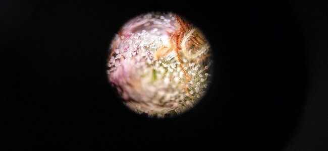 20251201_223737~2.jpg 20251201_223737~2.jpg