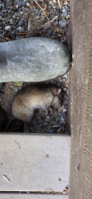 20251130_142738.jpg 20251130_142738.jpg