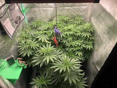 IMG_7991.jpeg IMG_7991.jpeg