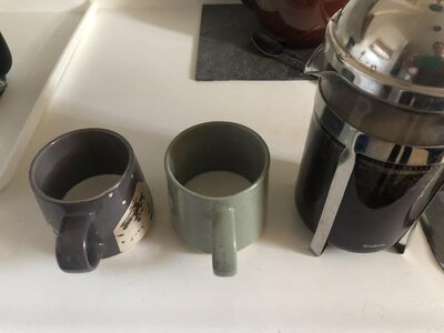 IMG_7985.jpeg