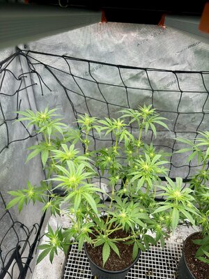 IMG_7862.jpeg IMG_7862.jpeg