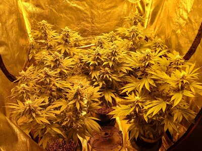 20251205_063727.jpg 20251205_063727.jpg