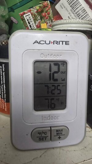 20251205_060419.jpg