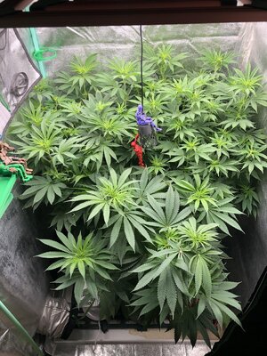 IMG_8021.jpeg IMG_8021.jpeg