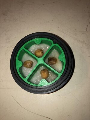 IMG_7902.jpeg IMG_7902.jpeg