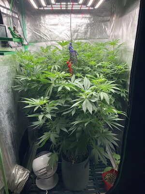 IMG_8020.jpeg IMG_8020.jpeg