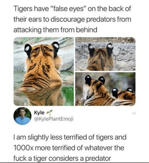 1765031366262.png