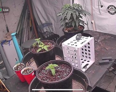 IMG_E6958.JPG IMG_E6958.JPG