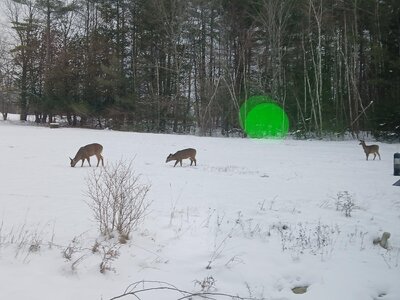 20251207_145652.jpg