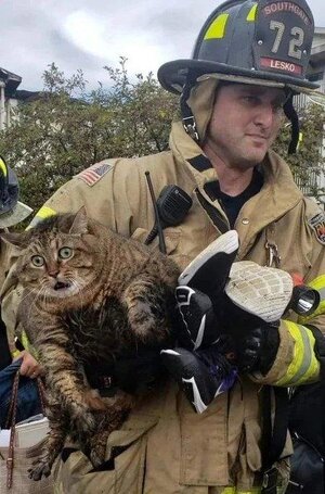 chonky.jpg
