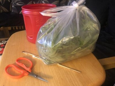 IMG_8043.jpeg IMG_8043.jpeg