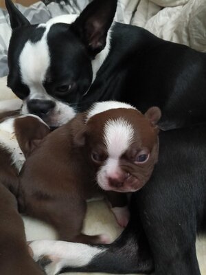 IMG_20251203_082643998.jpg IMG_20251203_082643998.jpg