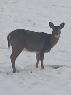 20251207_070436.jpg 20251207_070436.jpg