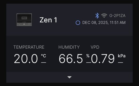 IMG_8052.jpeg IMG_8052.jpeg