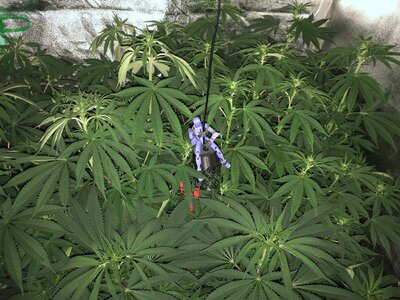 IMG_8060.jpeg IMG_8060.jpeg