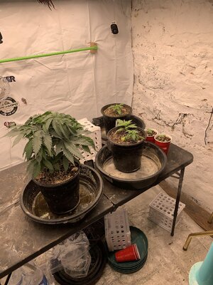 IMG_6968.JPG IMG_6968.JPG