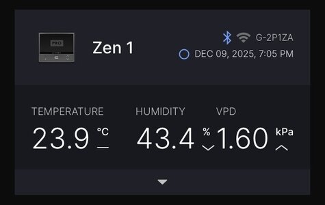 IMG_8076.jpeg IMG_8076.jpeg