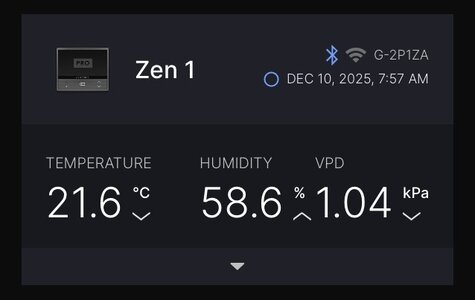 IMG_8088.jpeg IMG_8088.jpeg