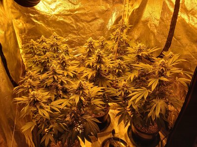 20251210_071843.jpg 20251210_071843.jpg