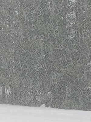 20251210_140831.jpg