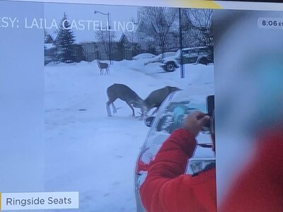 IMG_8091.jpeg IMG_8091.jpeg