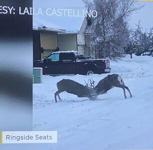 IMG_8090.jpeg IMG_8090.jpeg