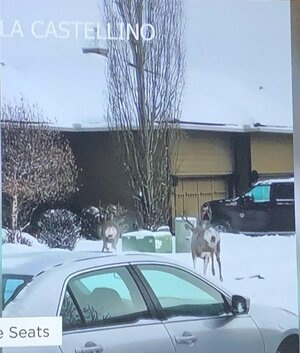 IMG_8092.jpeg IMG_8092.jpeg