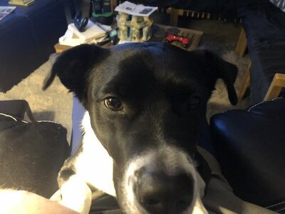 IMG_8103.jpeg IMG_8103.jpeg