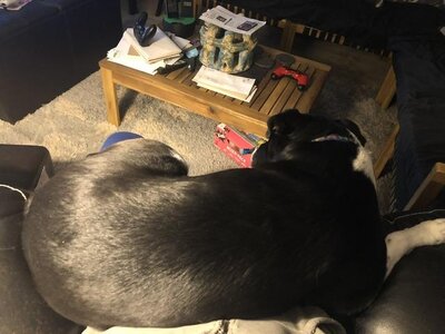 IMG_8105.jpeg IMG_8105.jpeg