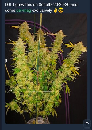 Screenshot_20240603-101154.jpg Screenshot_20240603-101154.jpg