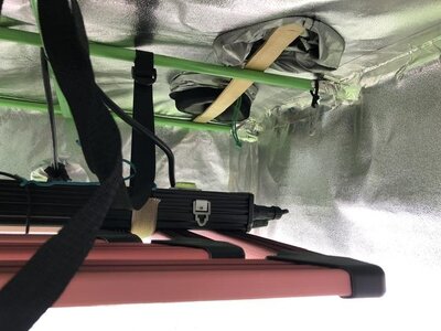 IMG_8115.jpeg IMG_8115.jpeg