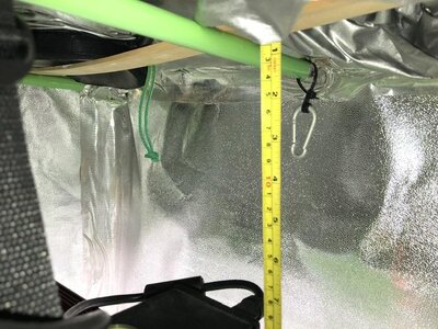 IMG_8116.jpeg IMG_8116.jpeg