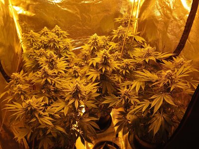 20251211_224249.jpg 20251211_224249.jpg