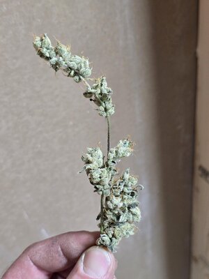 20251211_163612.jpg 20251211_163612.jpg