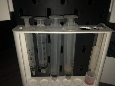 IMG_8123.jpeg