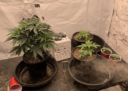 IMG_6979.JPG IMG_6979.JPG