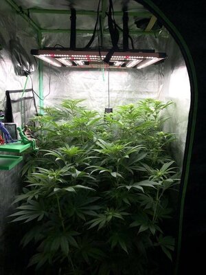 IMG_8152.jpeg IMG_8152.jpeg