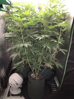 IMG_8151.jpeg IMG_8151.jpeg