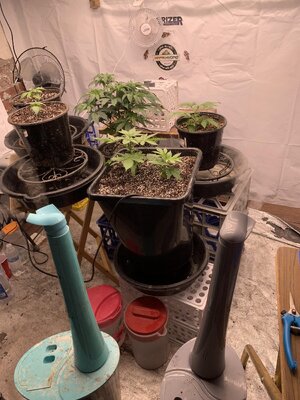 IMG_6990.JPG IMG_6990.JPG