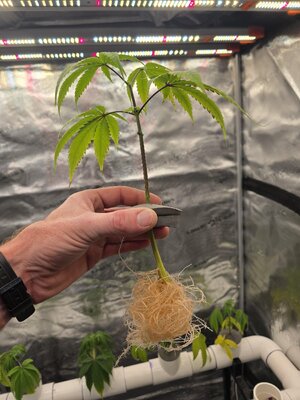 20251216_095622.jpg 20251216_095622.jpg