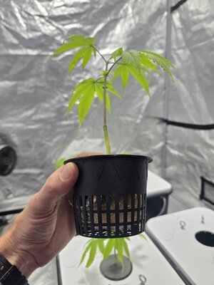 20251216_095921.jpg 20251216_095921.jpg