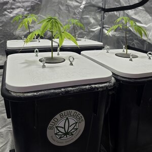 20251216_095951.jpg 20251216_095951.jpg