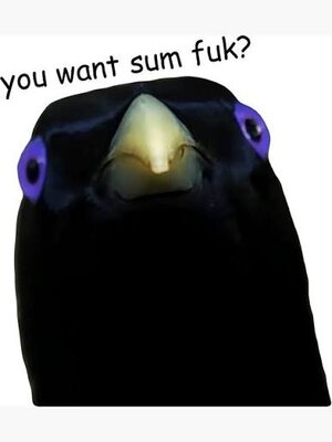 1766002202200.jpeg