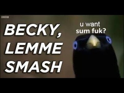 1766002341523.jpeg