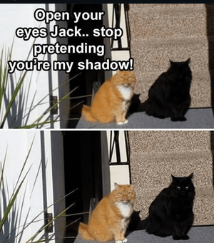 c1a97089ba9c763f16b7bbca3d2a8efe.png