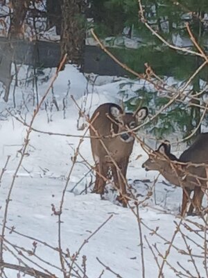 20251218_090937.jpg